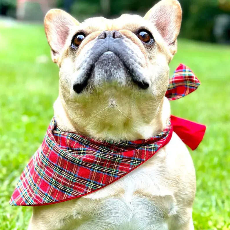 Classic Holliday Plaid Dog Bandana Happy Tails Outfitters