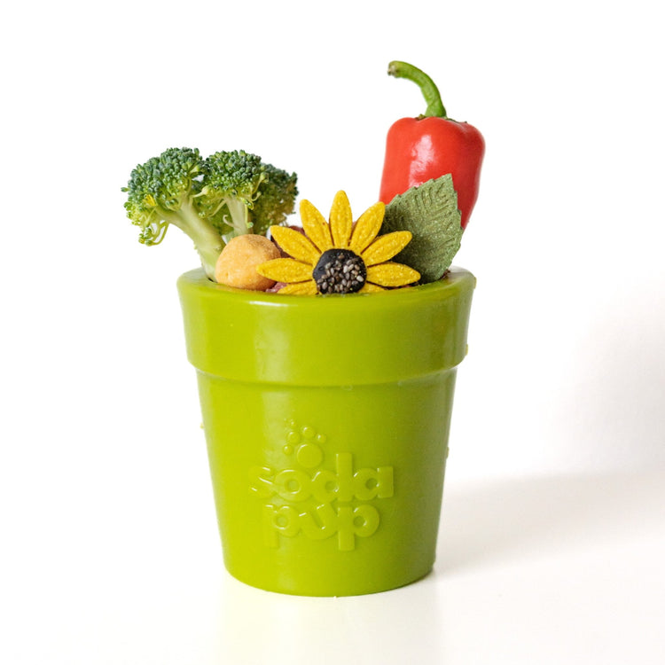 Large Flower Pot eCup Dog Treat Dispenser | Durable USA-Made Enrichment Toy | SodaPup
