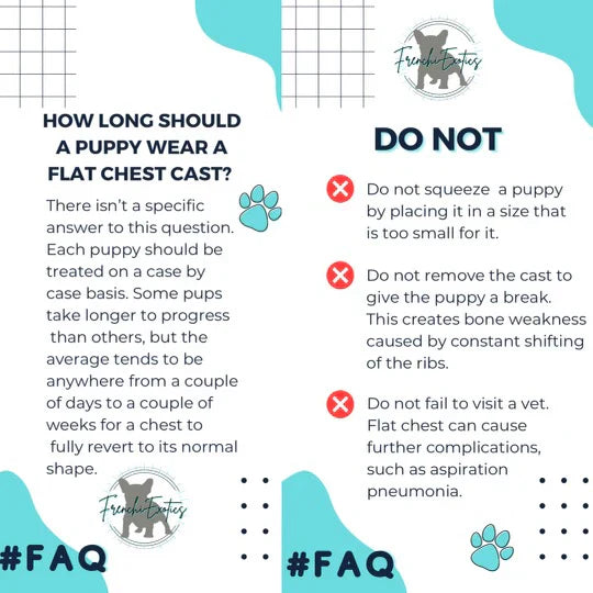 Puppy Flat Chest protector & treatment "bundle"All Sizes Horizon Animal Care