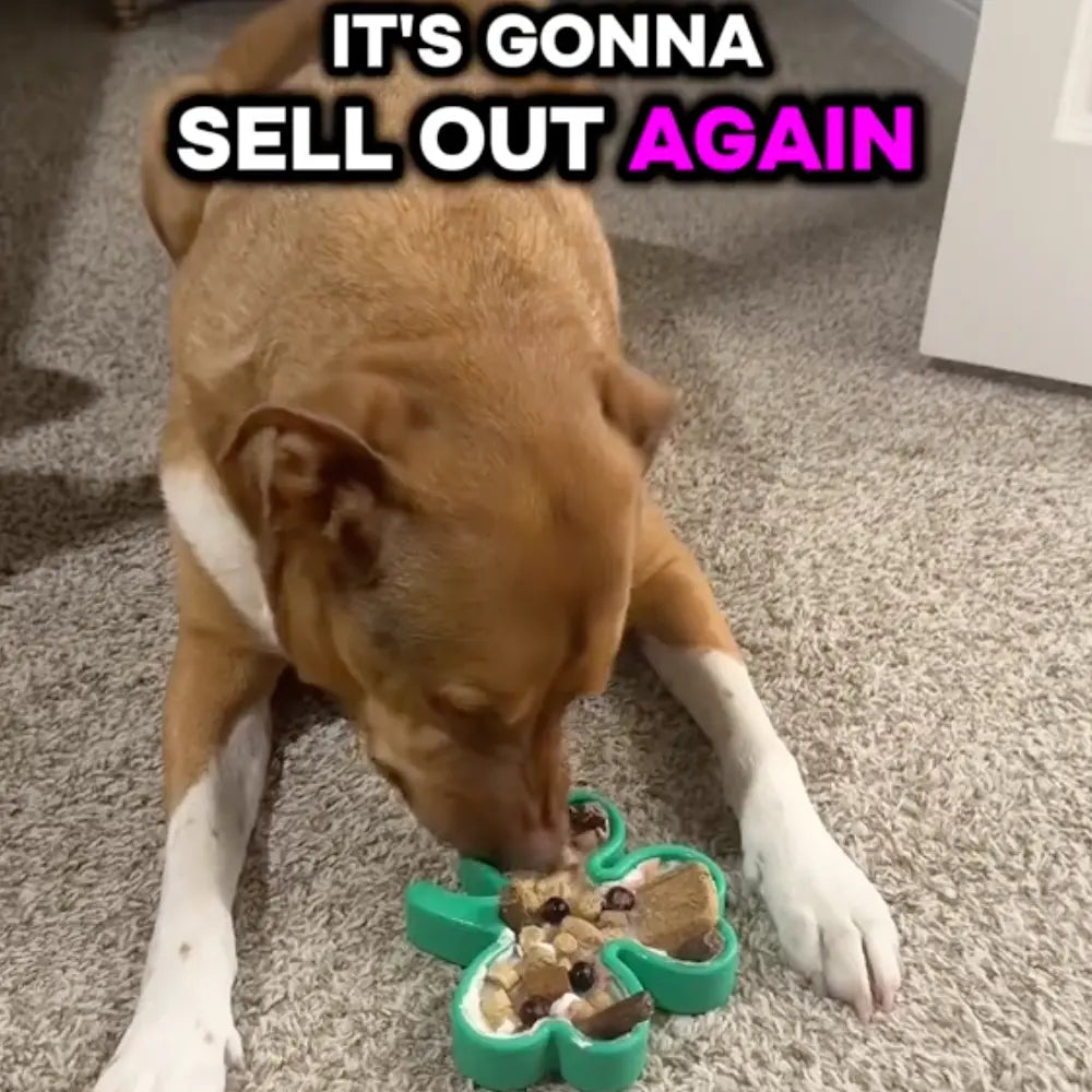 FreezShamrock - Premium Enrichment Toy Freezbone