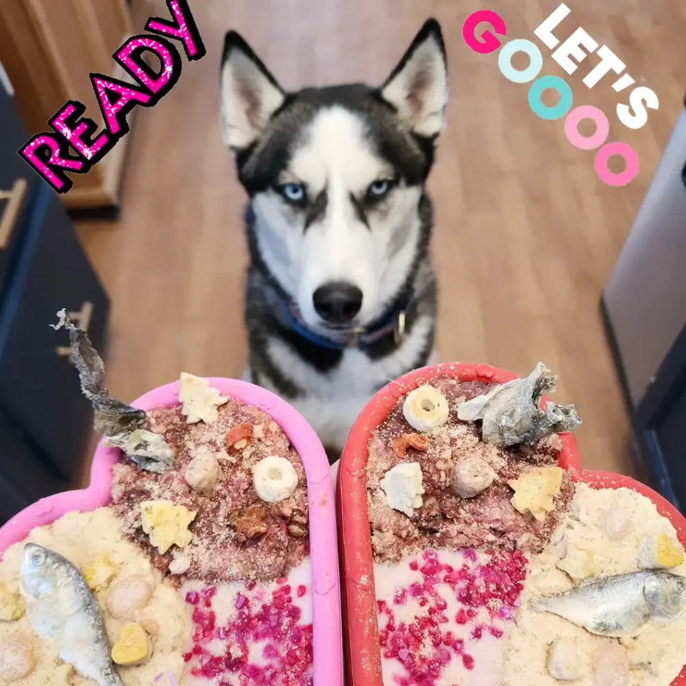 FreezHeart - Durable Heart Enrichment Chew Freezbone