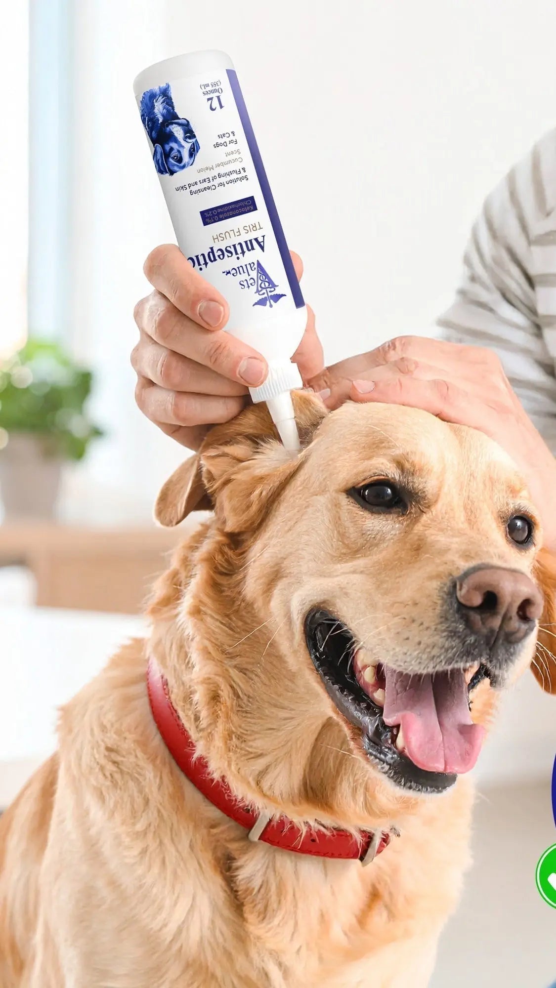 Veterinary Ear Flush for Dogs and Cats 12oz (XL 355ml Bottle) - Clear Therapy Cleaner Alcohol-Free, Itch-Relief Yeast Infections, Supports Healthy Canals - Optimized Solution Dog Washing, White/Clear Horizon Animal Care
