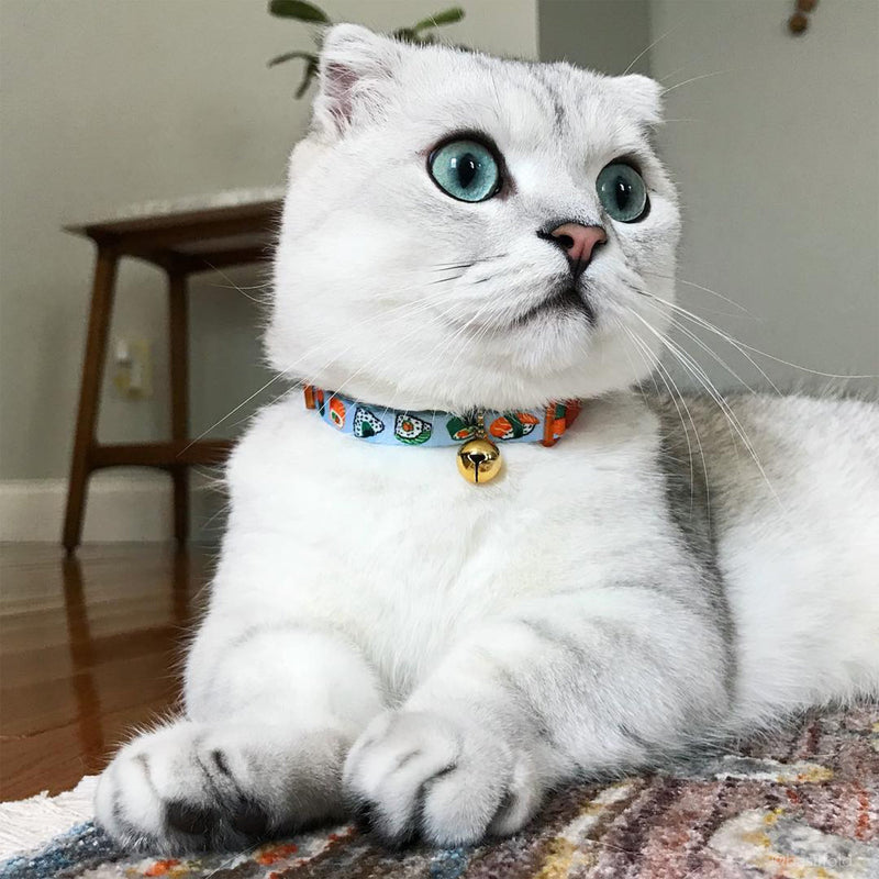 Coastal Products Safe Cat Fashion Adjustable Breakaway Collar-Sushi
