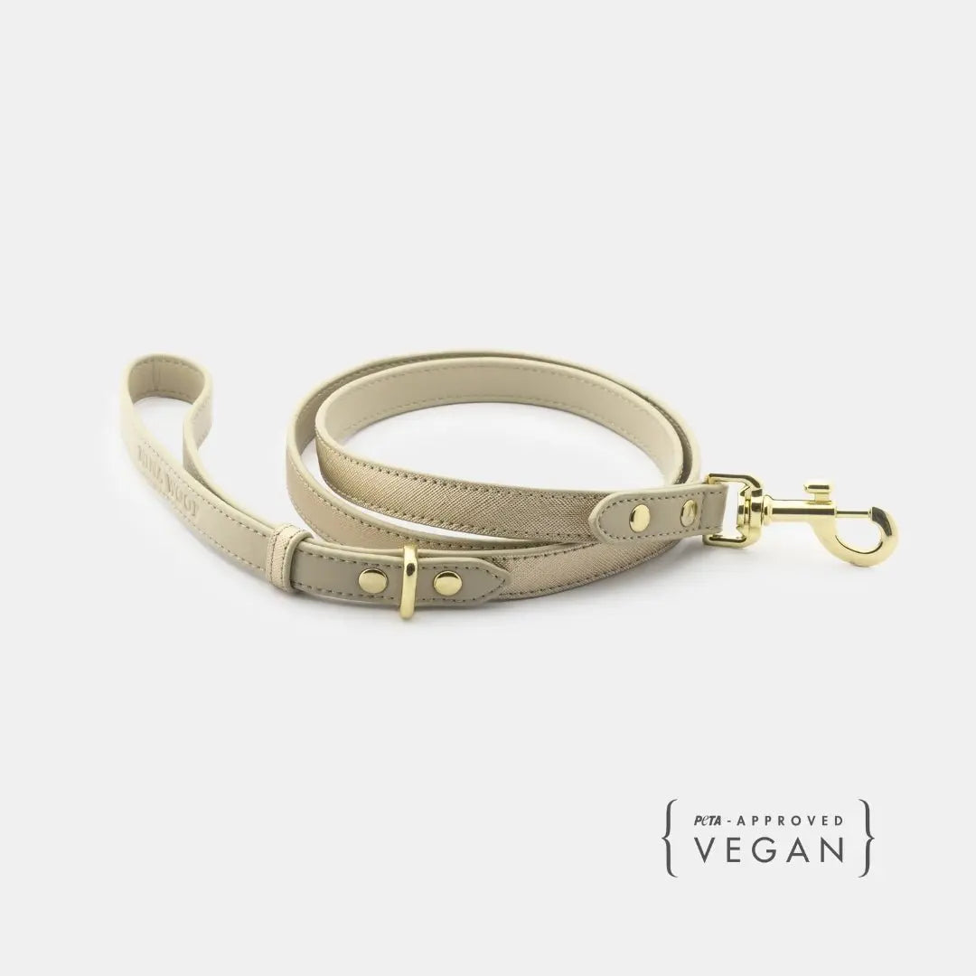 Leash 4ft - Vegan Leather Nina Woof