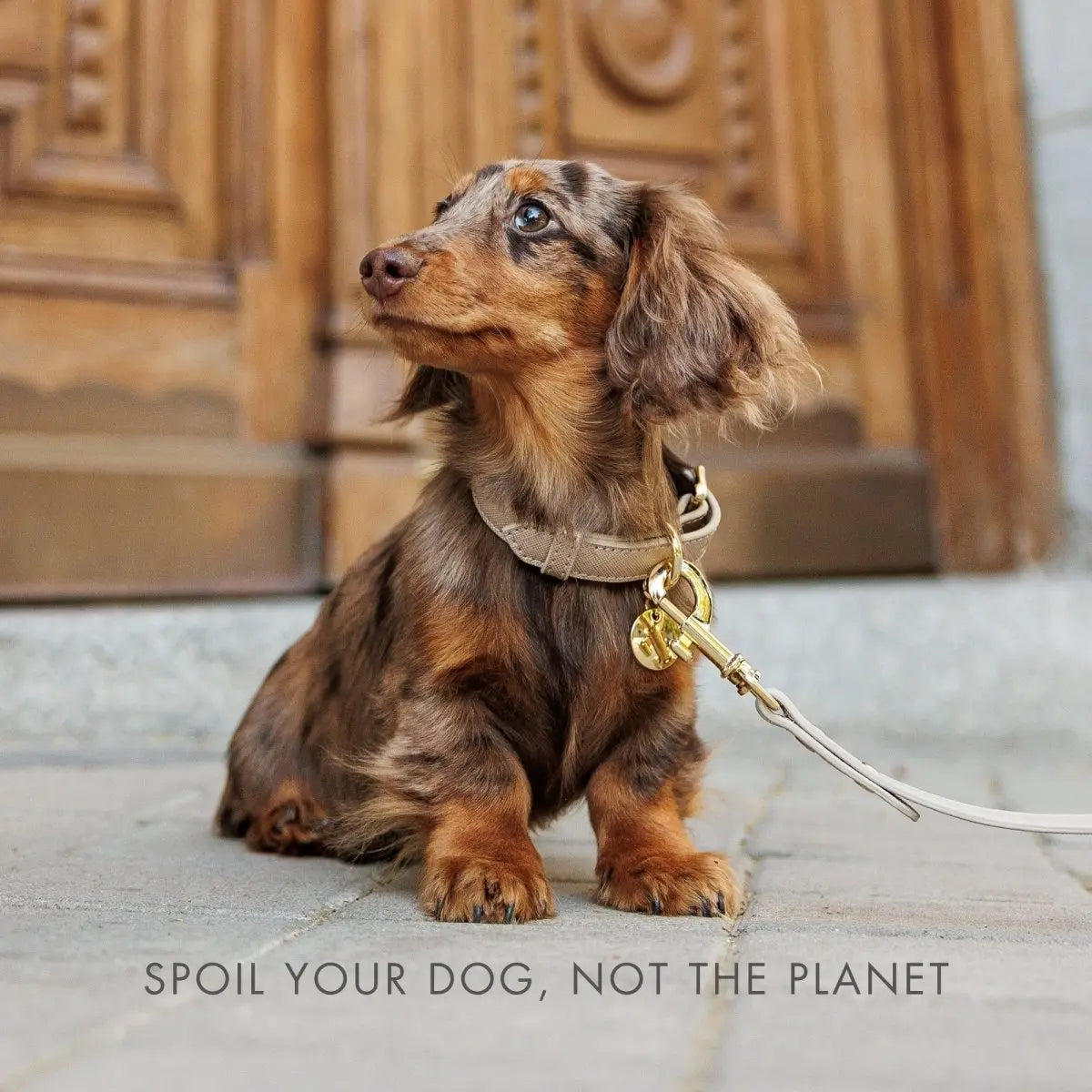 Leash 4ft - Vegan Leather Nina Woof