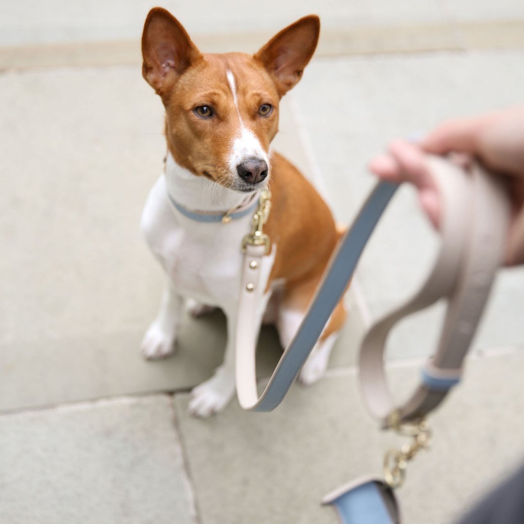 Leash 4ft - Vegan Leather Nina Woof