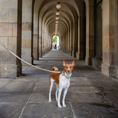 Leash 4ft - Vegan Leather Nina Woof