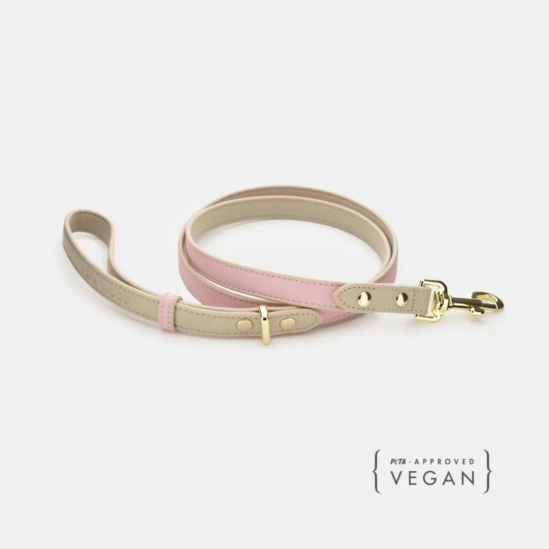 Leash 4ft - Vegan Leather - Cupertino Nina Woof