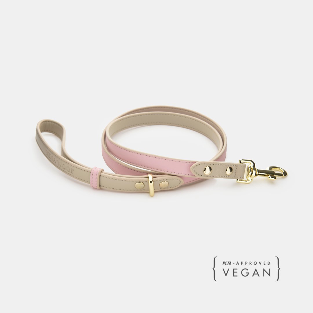 Leash 4ft - Vegan Leather - Cupertino Nina Woof