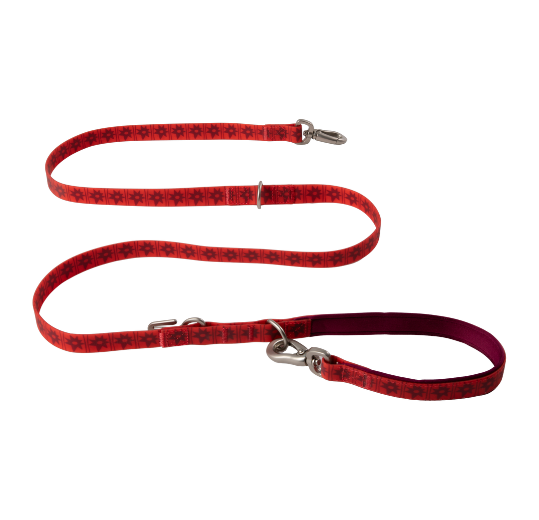 Waterproof Dog Leash - 5ft