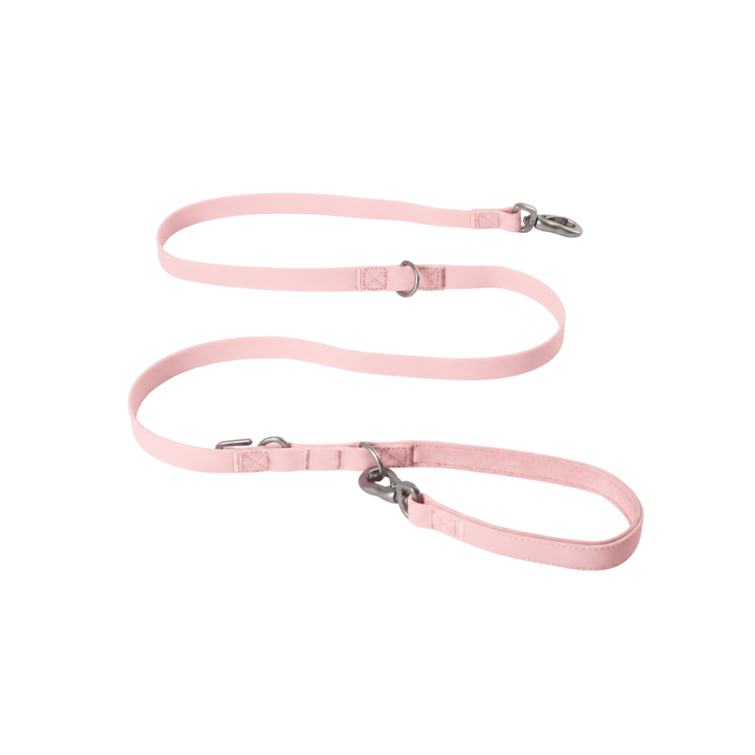 Waterproof Dog Leash - 5ft by Springland Pets