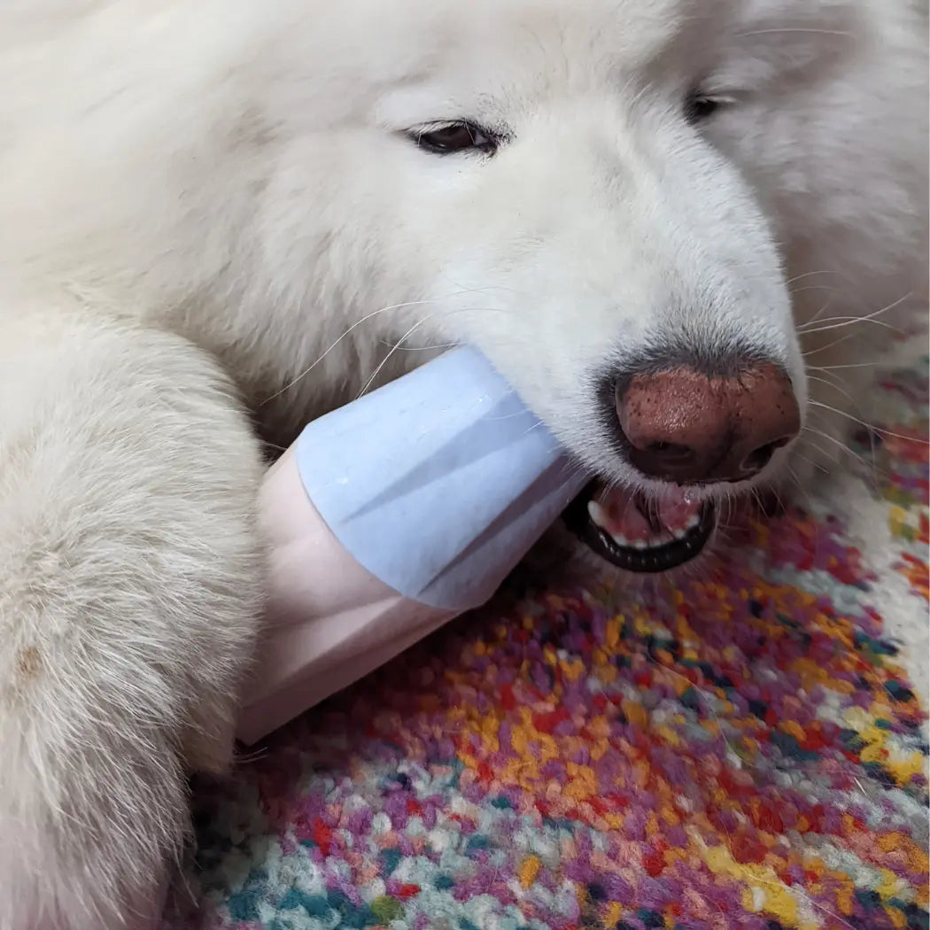 The Ubbe Modern Dog Licking Toy Up Dog Shop