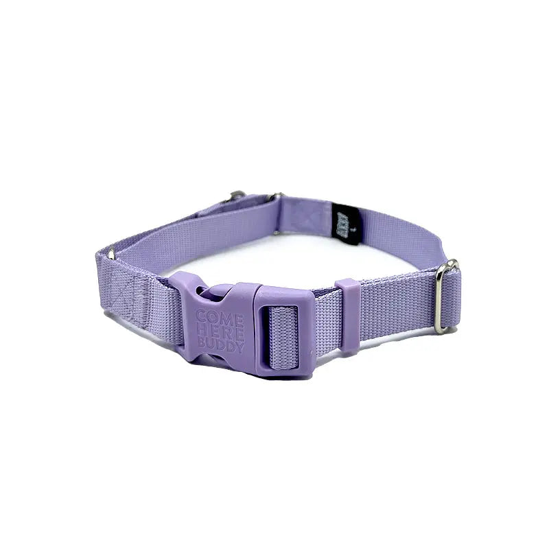 Martingale Dog Collar - K9 Outdoors