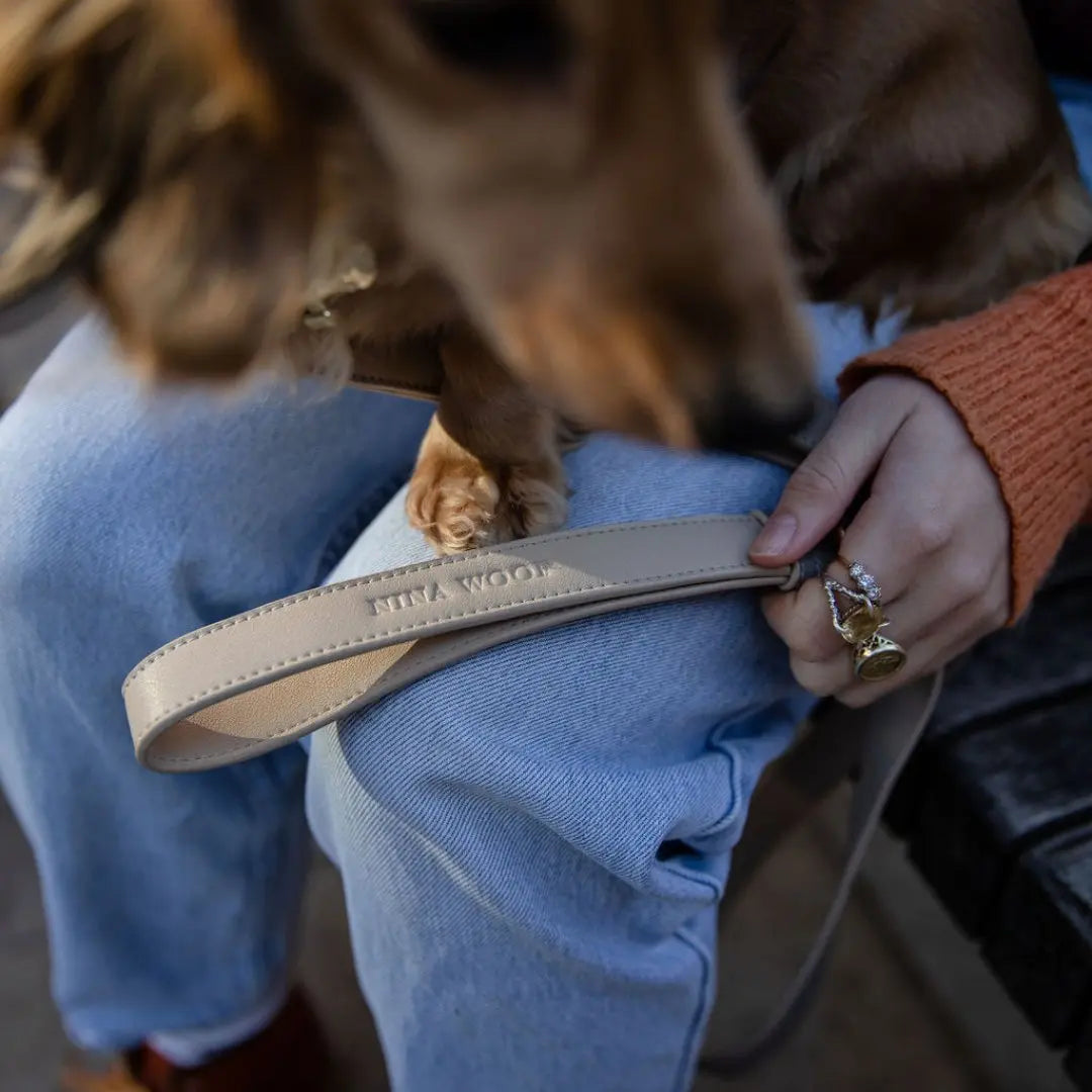 Leash 4ft - Vegan Leather - London Nina Woof