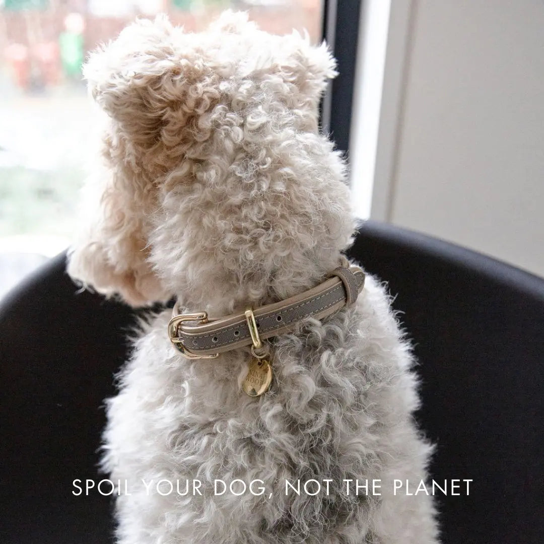 Collar - Vegan Leather Nina Woof