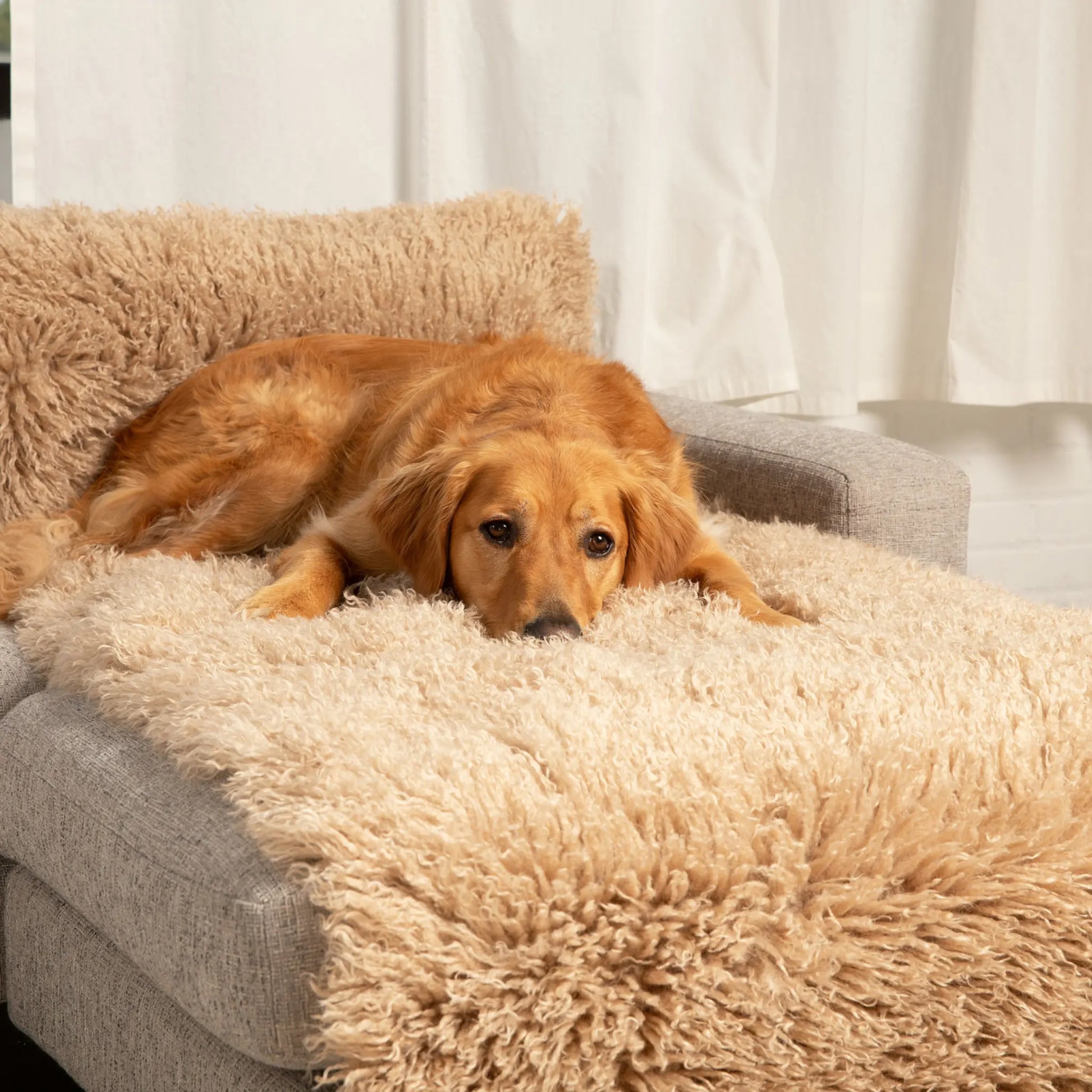 PupProtector™ Luxe Waterproof Bed Runner - Plush Sheep Tan Paw.com