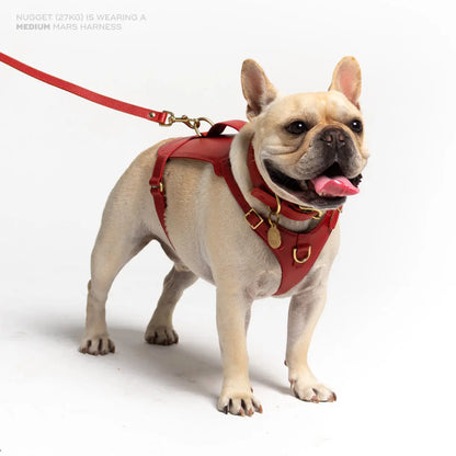 Mars Heritage Harness Ramona For You