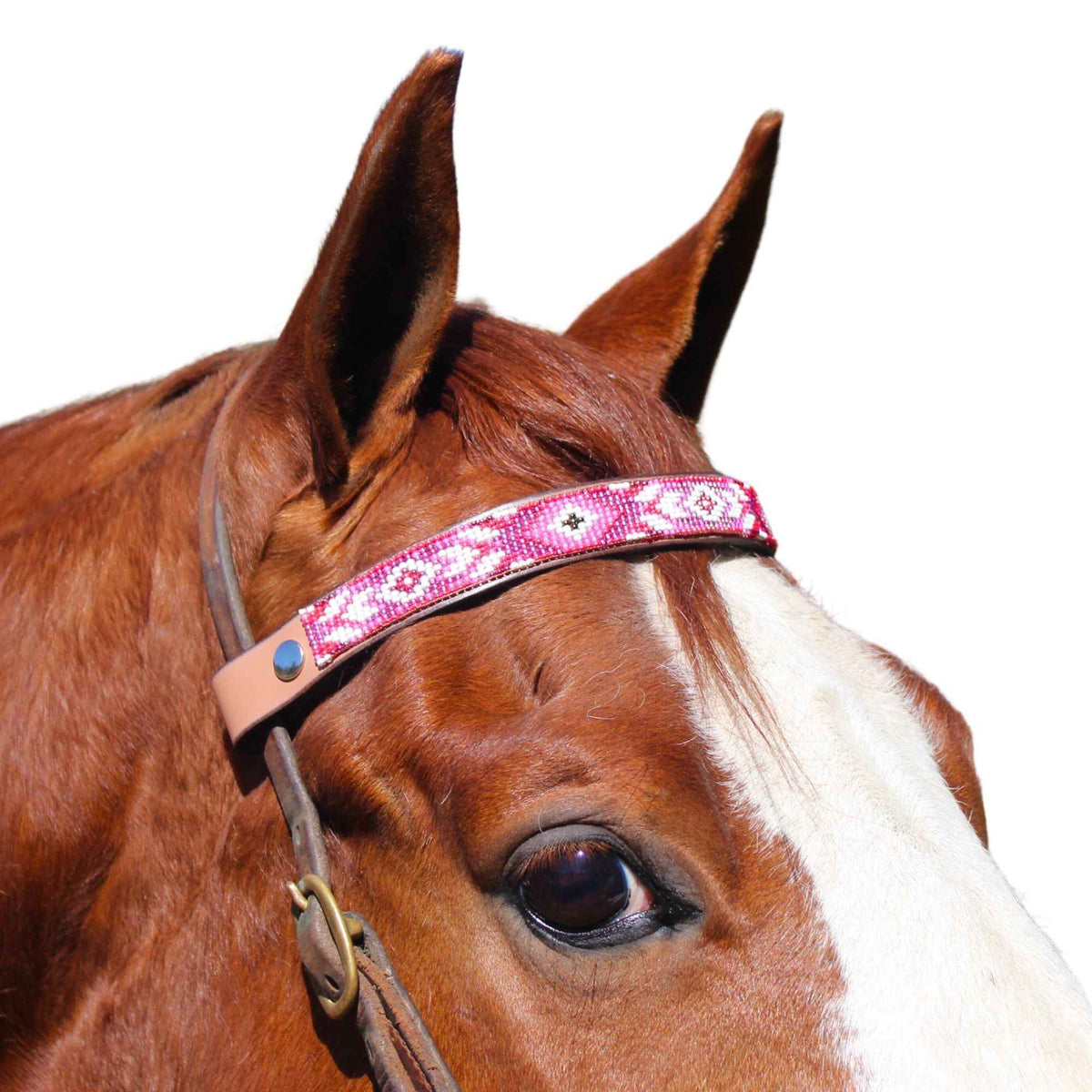 Melrose Sambboho Horse Browband