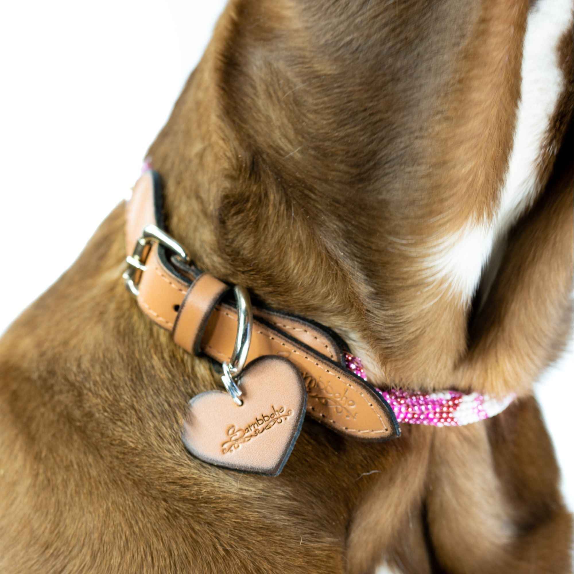 Melrose Sambboho dog collar (rolled)