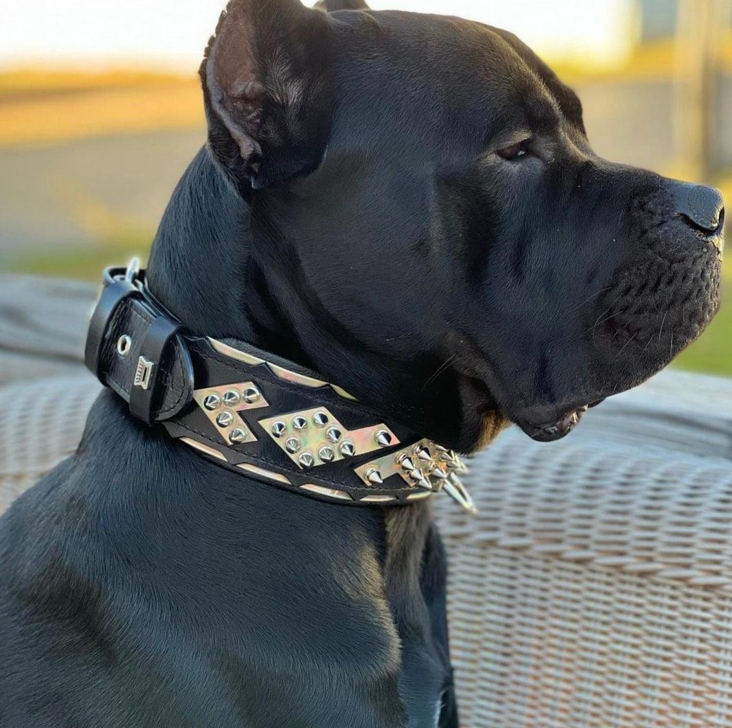 Bestia Midas Leather Dog Collar – Silver