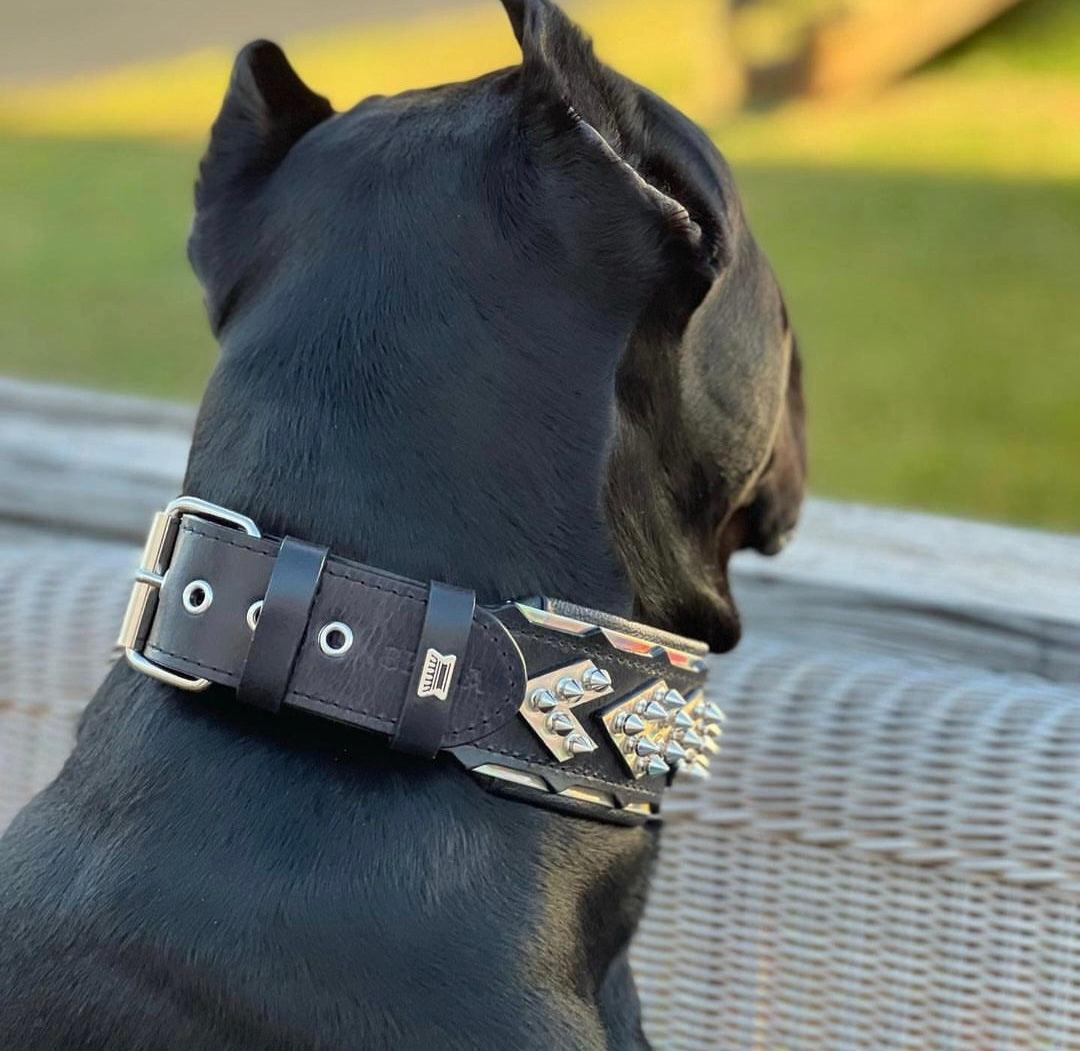 Bestia Midas Leather Dog Collar – Silver