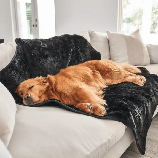 PupProtector™ Summer Short Fur Waterproof Throw Blanket - Midnight Black Paw.com