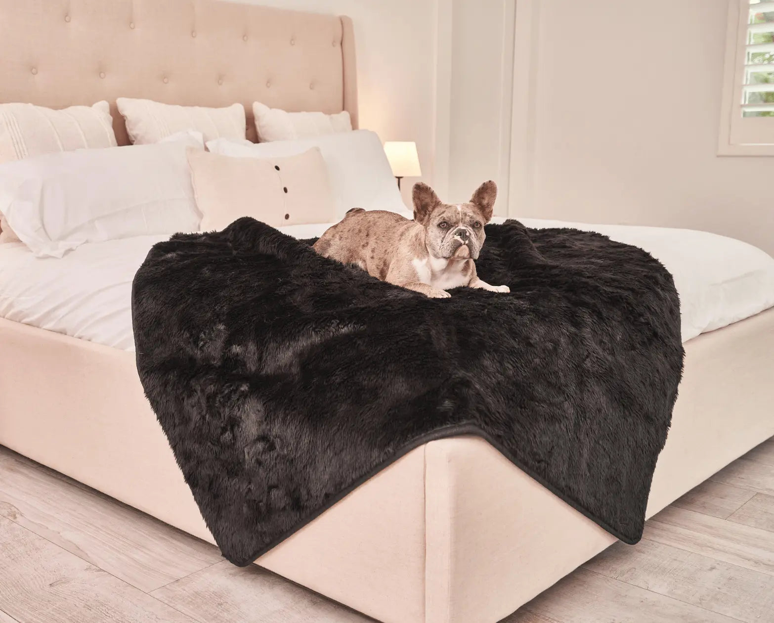 PupProtector™ Summer Short Fur Waterproof Throw Blanket - Midnight Black Paw.com