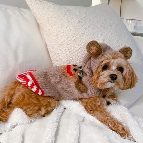 Monkey Hoodie Dog Sweater