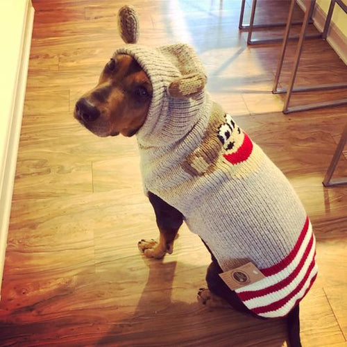 Monkey Hoodie Dog Sweater