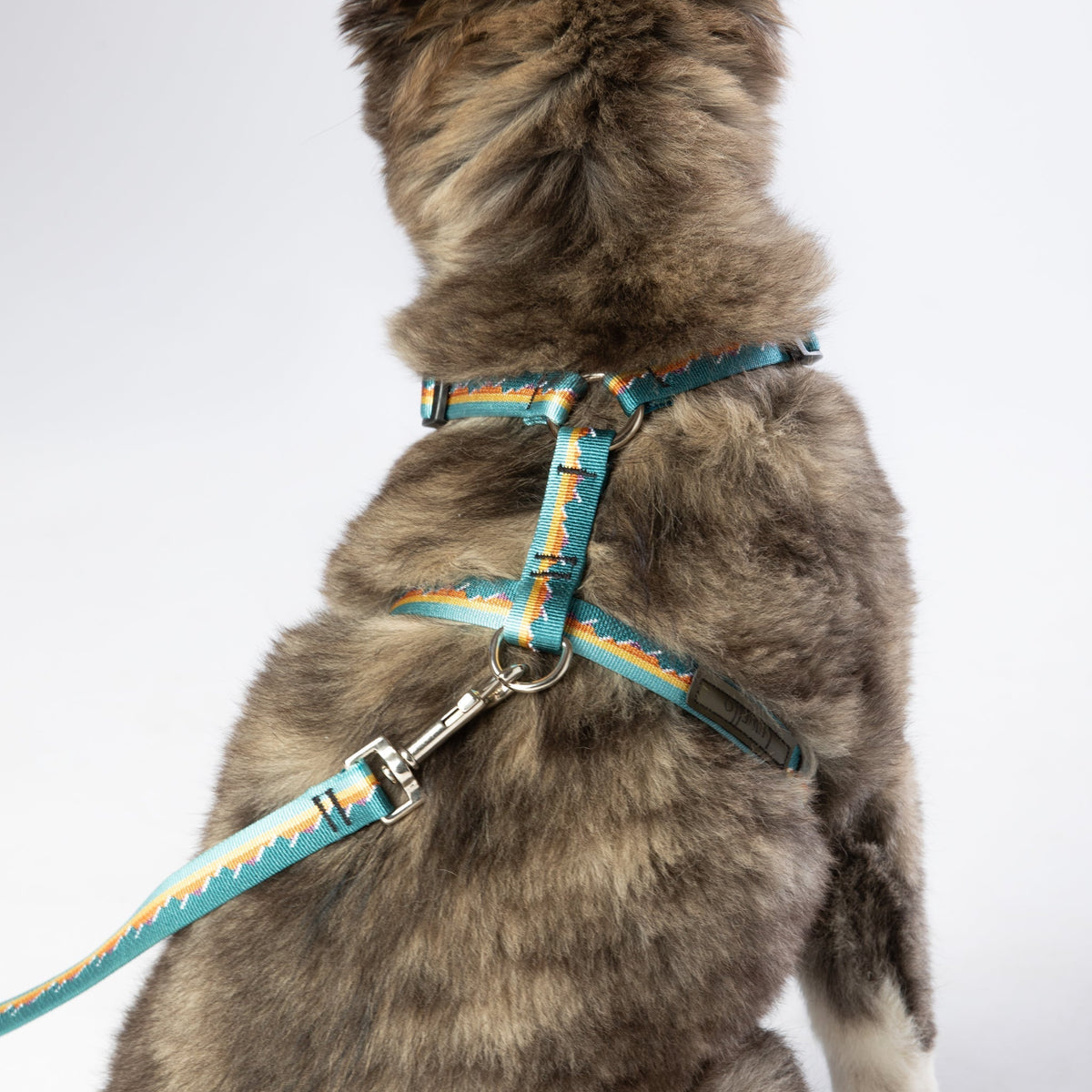 Escape Free Dog Harness 3/4''