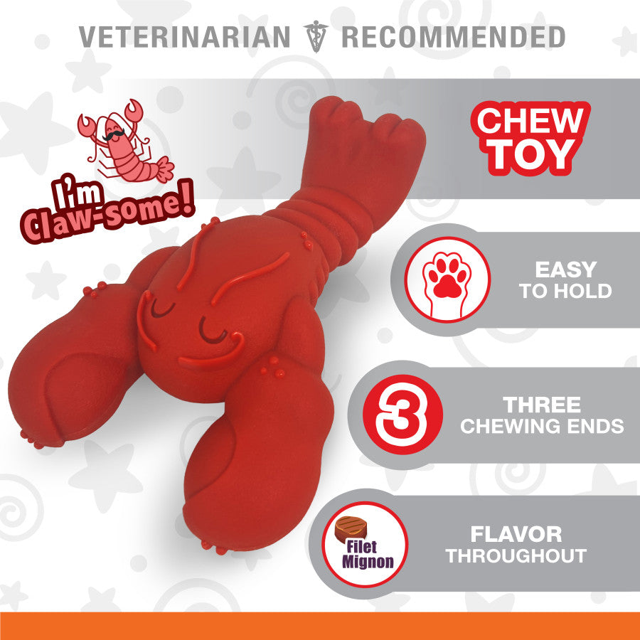 Nylabone Power Chew Lobster Dog Chew Toy Filet Mignon, 1ea/XL