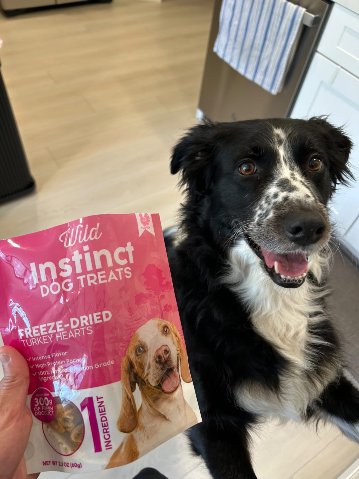 Freeze-Dried Turkey Hearts for Dogs