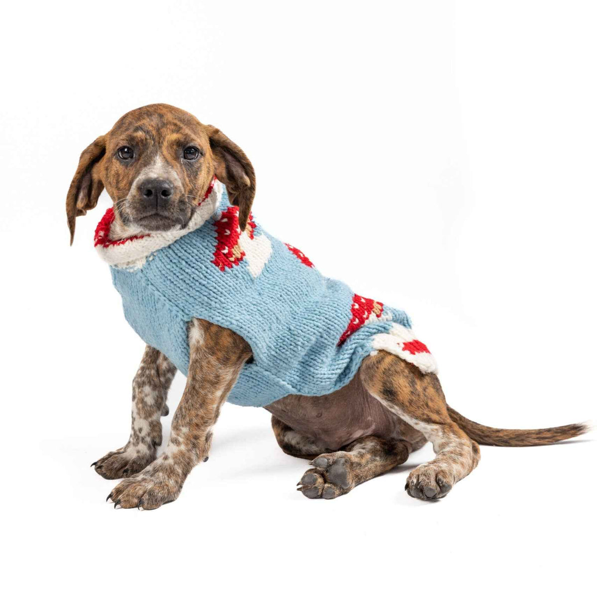 Mushroom Dog Sweater