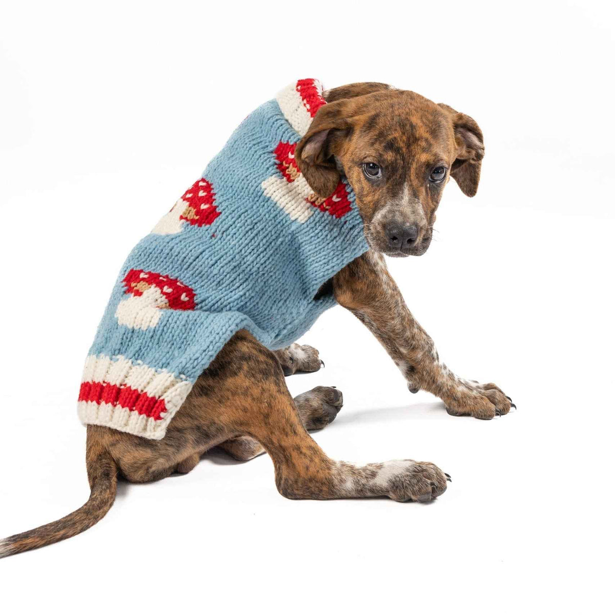 Mushroom Dog Sweater