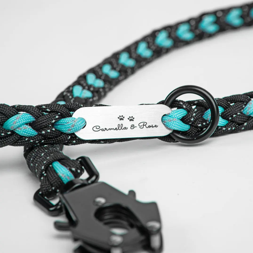 Forever Leash Carmella & Rose