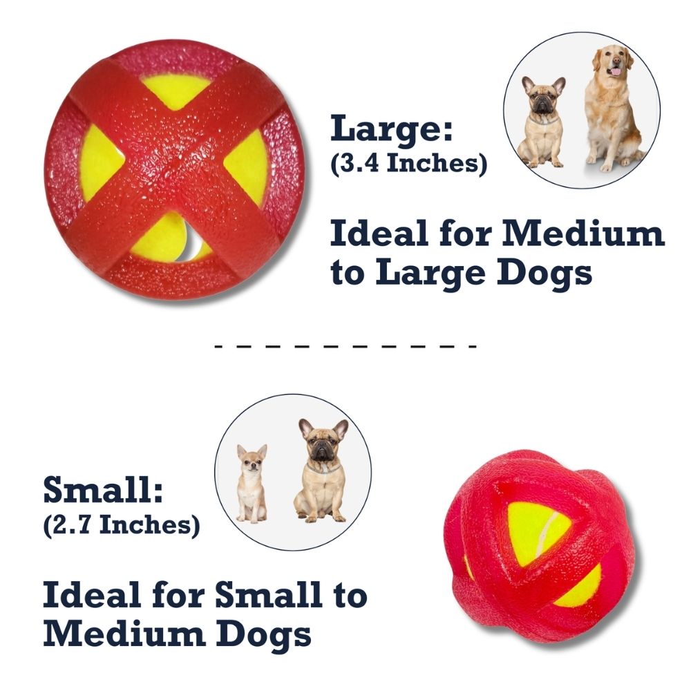 TPR-Coated Agility Tennis Ball Dog Toy, Small & Large Sizes