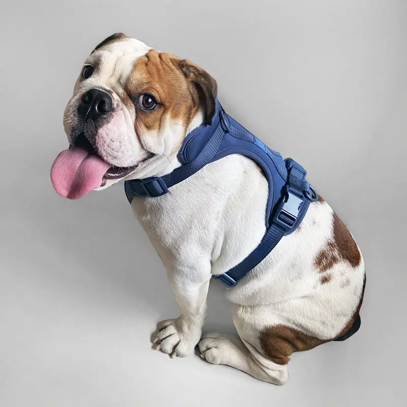 Harness - K9 Outdoors