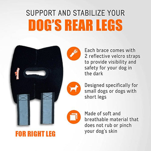 NeoAlly Dog Rear Leg Hock Brace with Safety Reflective Straps for Small Dogs [Short Version]