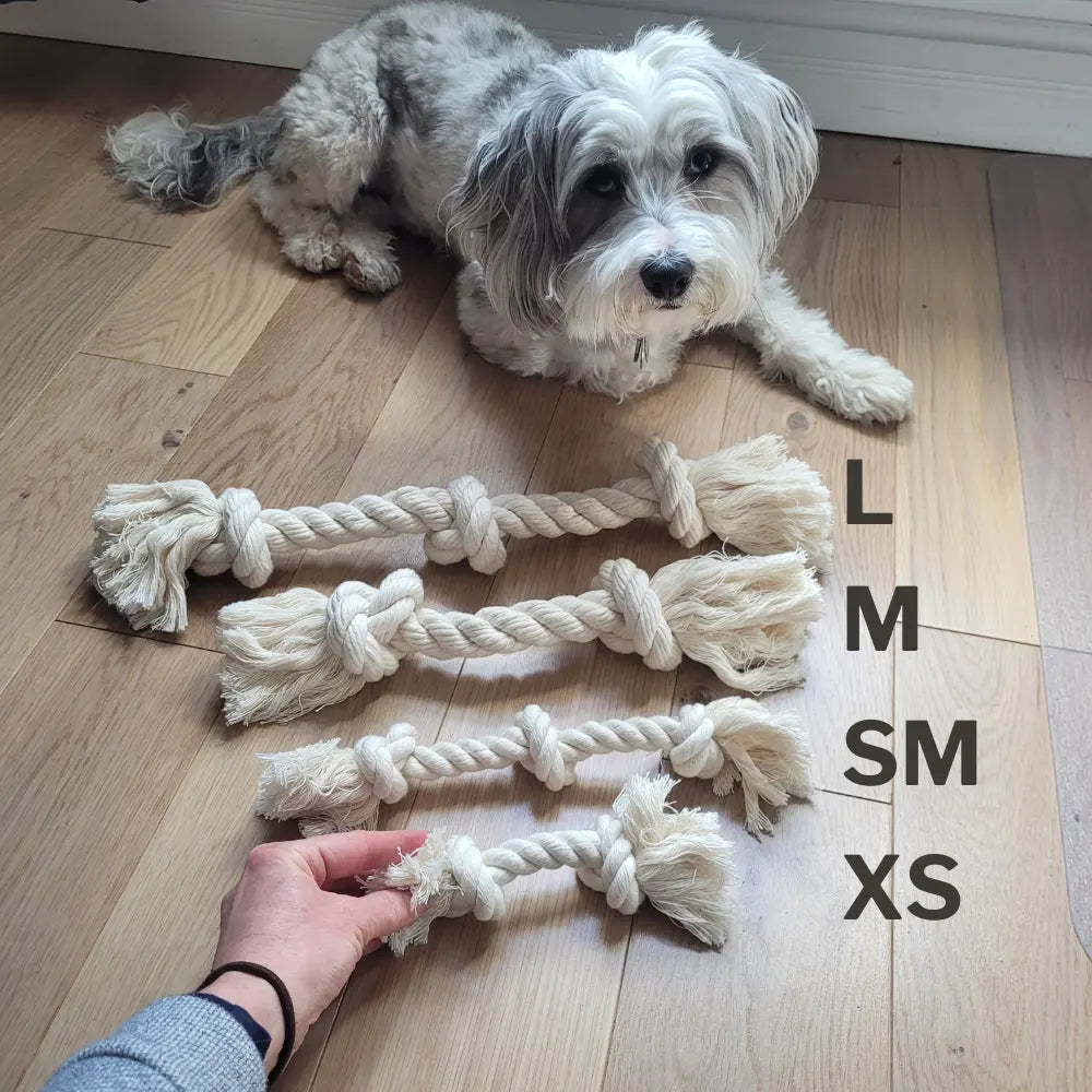 Boba & Vespa 100% Organic Cotton Rope Dog Toy - 5 Sizes The Kind Pet