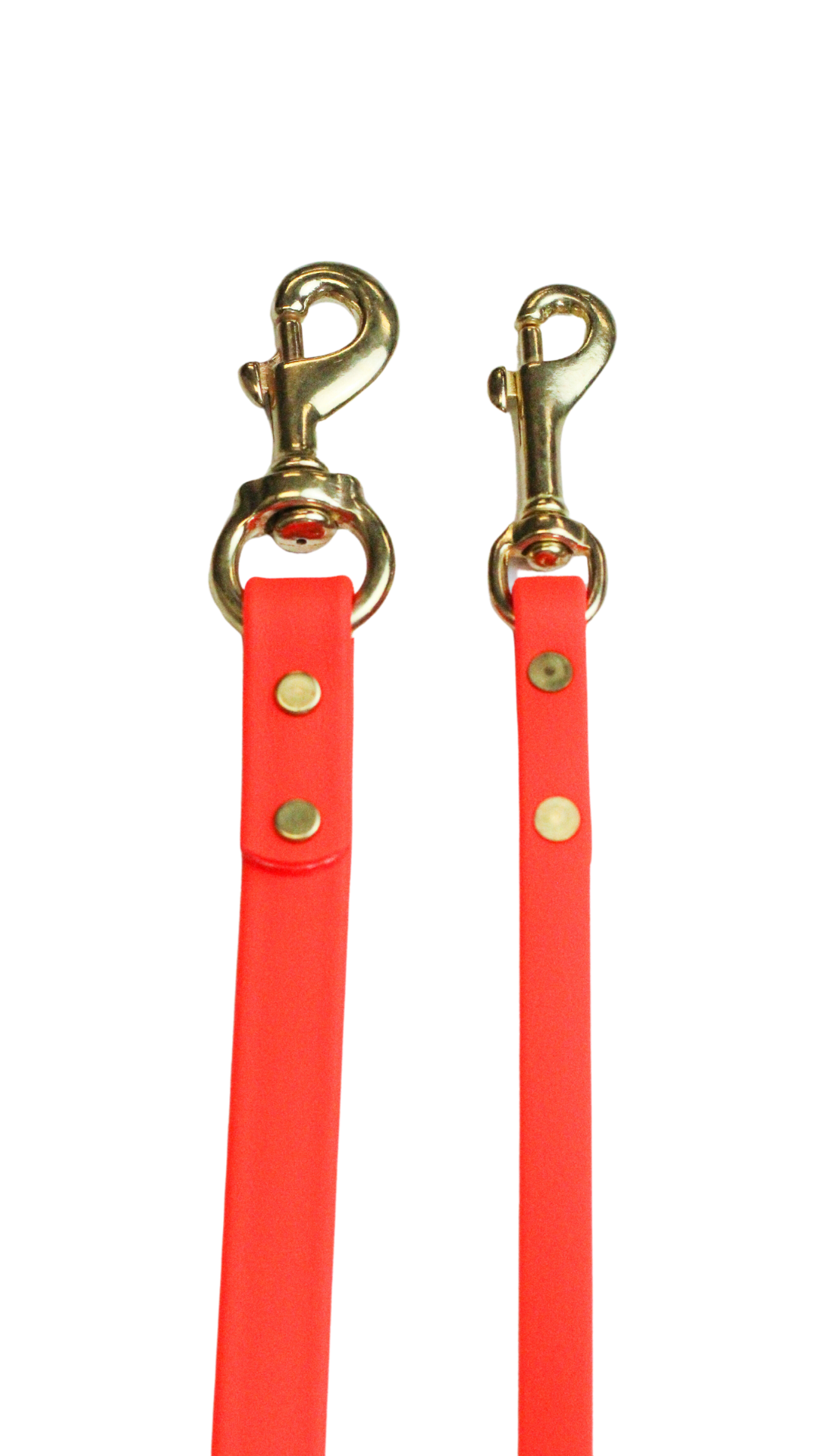Orange Waterproof Biothane Leash