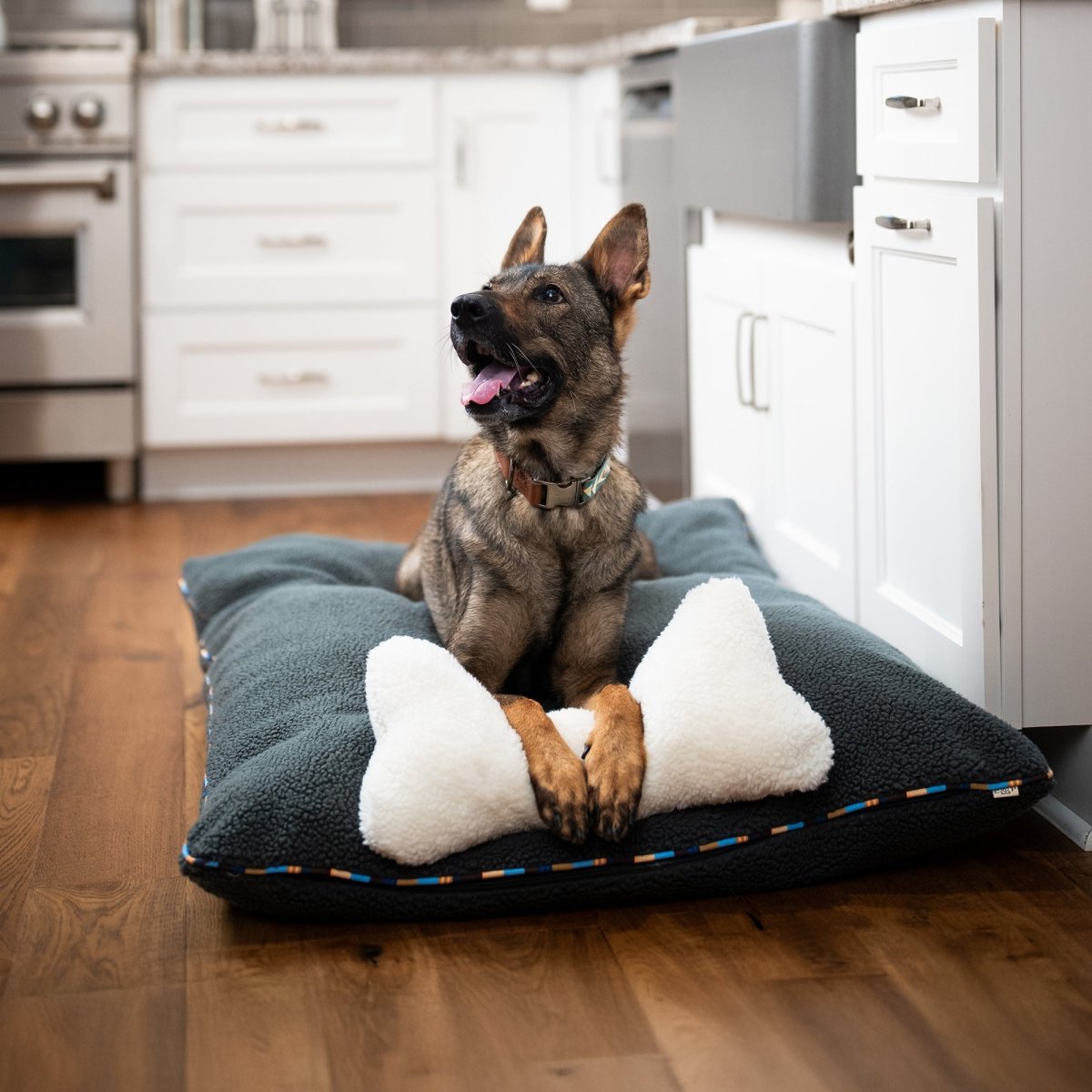 Dog resting on the Orthopedic Foam Sherpa Pillow Dog Bed