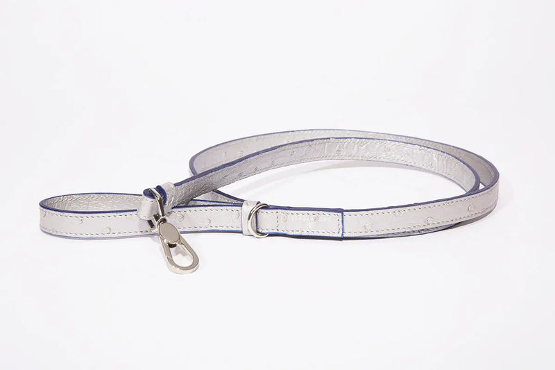 Dog Leash-Small, Metallic Ostrich