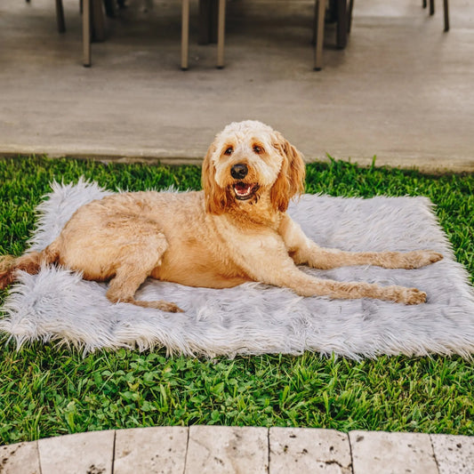 PupRug by Paw.com™ Portable Orthopedic Dog Bed - Grey Paw.com