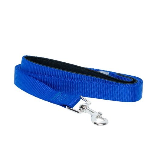 Padded Grip 5-Foot Nylon Dog Leash