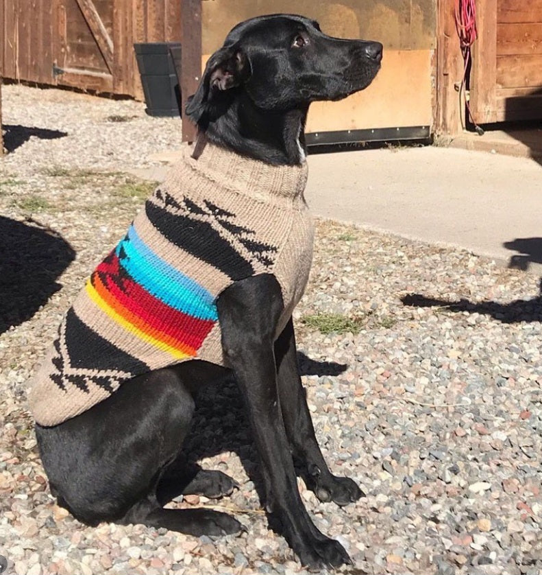 Painted Desert Dog Sweater