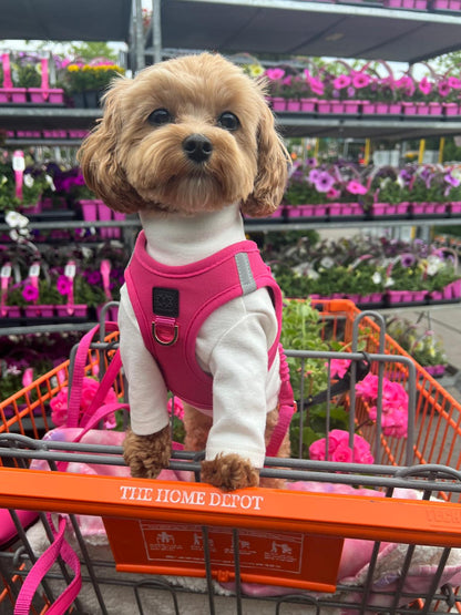 SoHo Dog Harness - Park Ave Pink Dogistry™