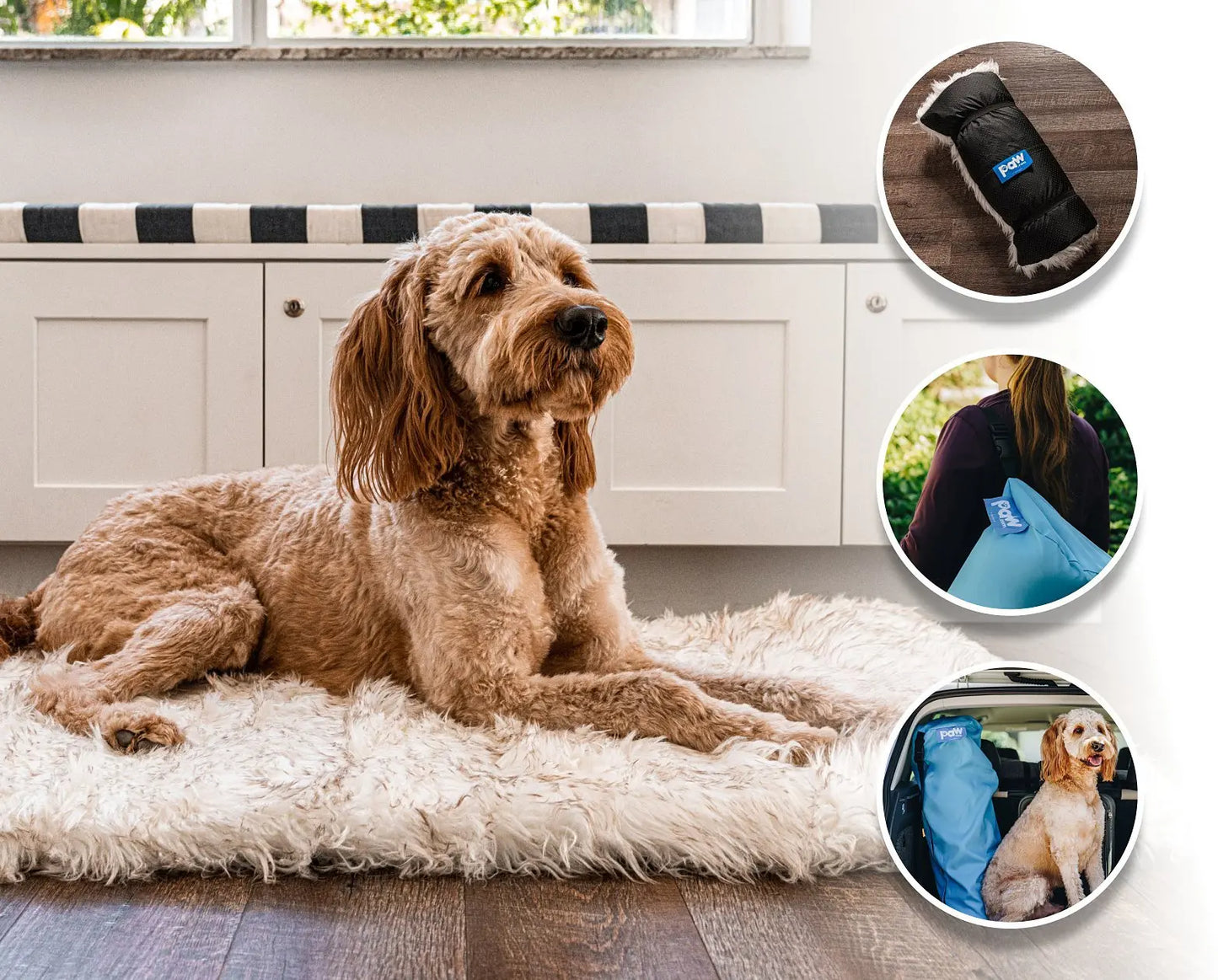 PupRug by Paw.com™ Portable Orthopedic Dog Bed - White with Brown Accents Paw.com