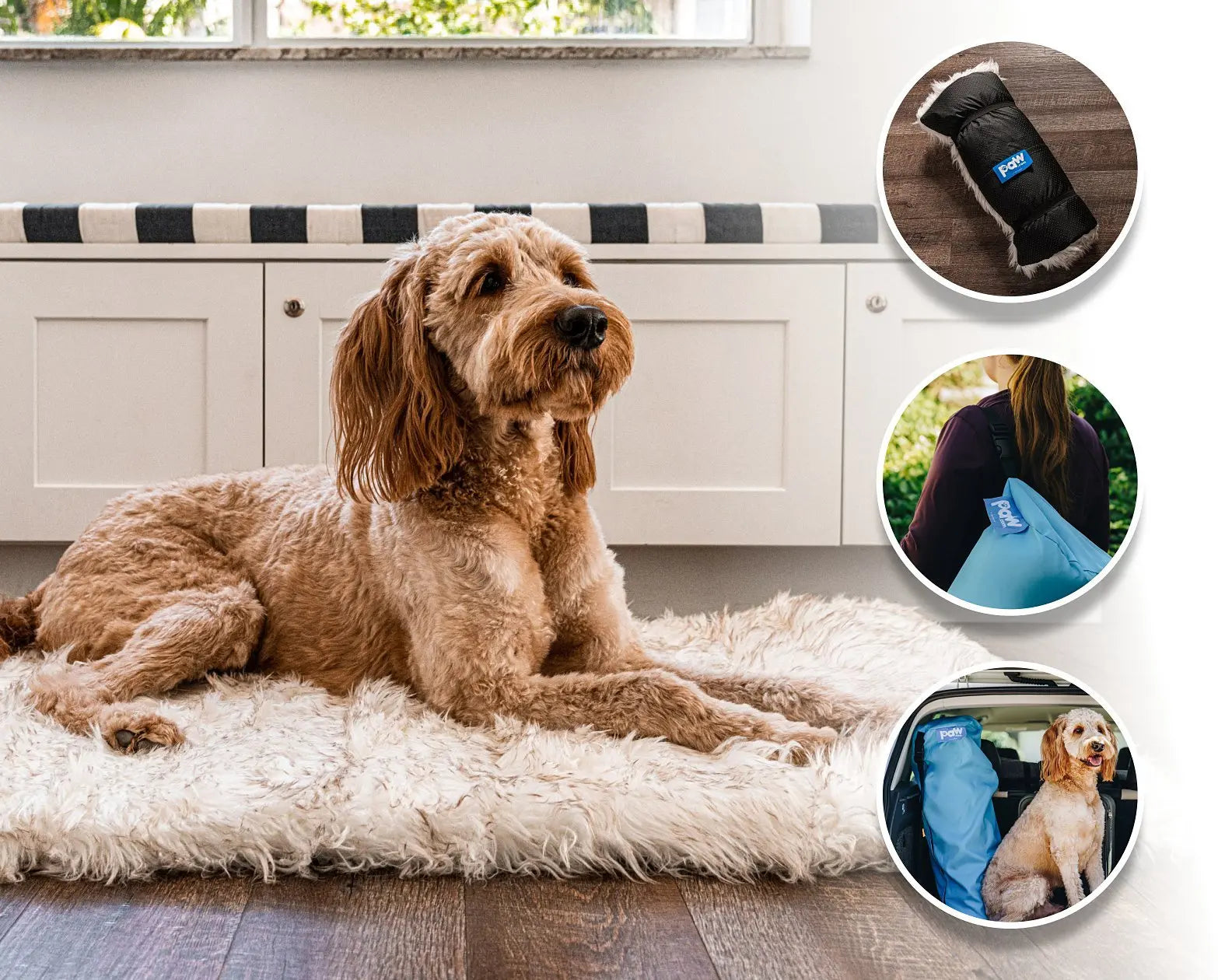 PupRug by Paw.com™ Portable Orthopedic Dog Bed - White with Brown Accents Paw.com