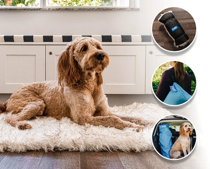 PupRug by Paw.com™ Portable Orthopedic Dog Bed - White with Brown Accents Paw.com