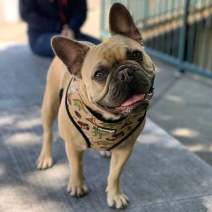 Jurassic Bark Reversible Harness Pawmigo